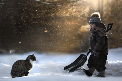 Cats Winter Winter Hat Snow Boys Children Animals Wallpapers ...