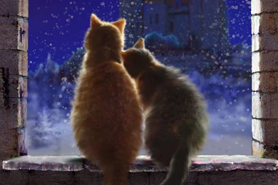 Art Cats Pair Love Snow Winter Window Sill Castle Night Snowflakes ...