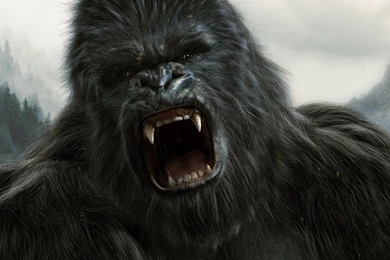 King Kong HD Wallpaper,fantasy Wallpaper,king Wallpaper,kong ...