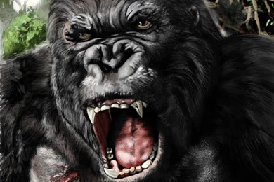High Quality King Kong Wallpapers