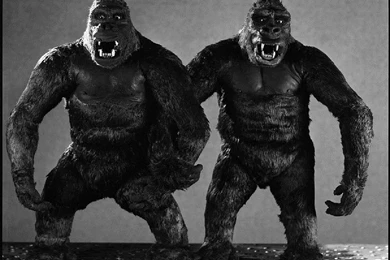 51 King Kong (1933) HD Wallpapers