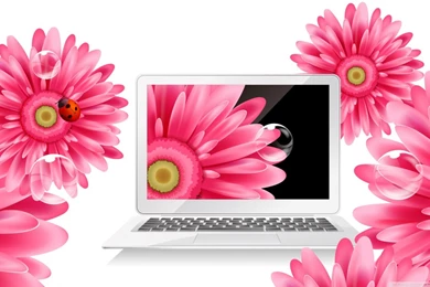 Wallpapers Laptop 1366x768