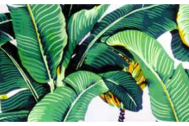 THE CLASSIC COMEBACK   Roar Events