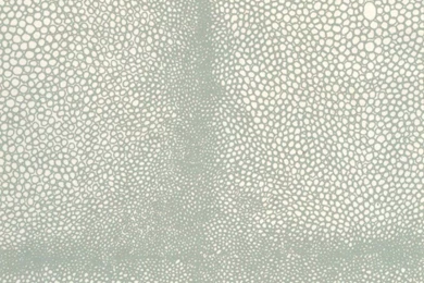 Anya Larkin » Shagreen