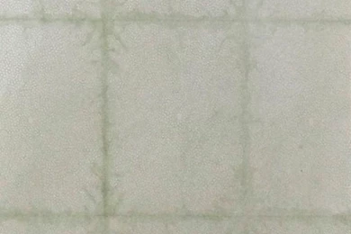 W A R M — Arena Design