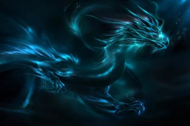 Funmozar 3d Dragon Wallpapers