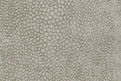 Texture Tuesday  Wallpapers Inspired By Shark Skin