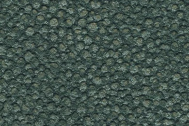 Shagreen Glam   Shark Skin Galuchat Wallpapers [GPR 76592 ...