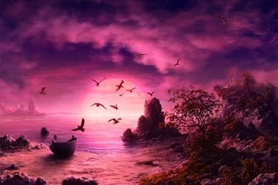 A Purple Sunset Wallpaper Backgrounds