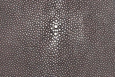 La Todera: Shagreen/ A Closer Look Fabrics  In Stores Soon!