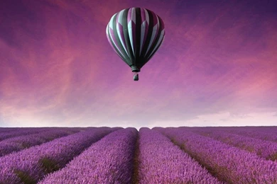 Download Hot Air Balloon Over Lavender Field HD Wallpapers For ...