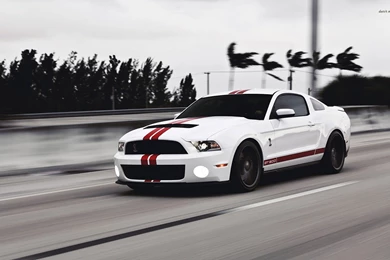 Mustang Car Picture Wallpapers 8785   Amazing Wallpaperz