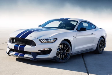 Car Wallpapers   Shelby GT350 Mustang   2015