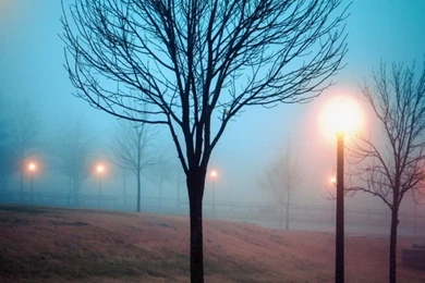 Sleep Walking Wallpapers Twitter Header Resolution   Wallpapers HD Pub