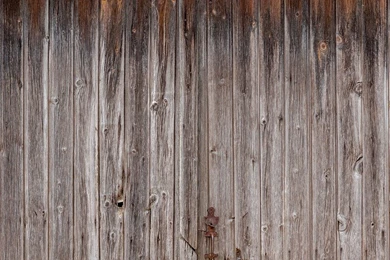 Free Stock Photo: Wood, Wooden, Wall, Wood Backgrounds   Free Image ...