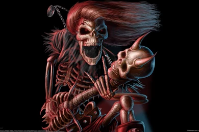 Accessible Novelties: Rock Skull Musician Guitar Concer Wallpapers