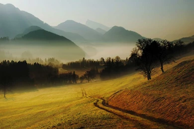 1920 background image   Canopies For Your Ute Or 4x4 Vehicle