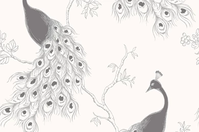 Fine Decor Empress Peacock Wallpapers   FD40714   Charcoal   Sample ...