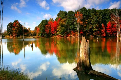 Autumn Wallpapers 006, Free Desktop Wallpapers, Cool Wallpapers