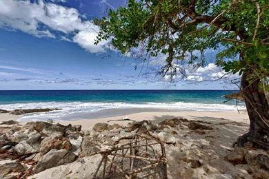 Wallpapers Fair: Download Beaches & Islands Backgrounds Wallpapers ...