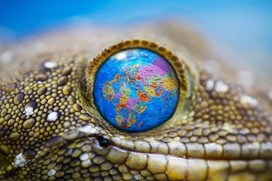 DeviantArt: More Like 3d High Wallpapers Hd By Mu6