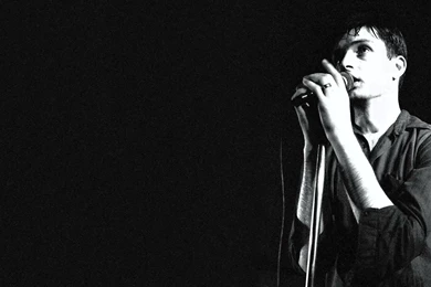 16 Quality Joy Division Wallpapers, Celebrity