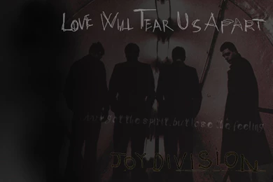 Wallpapers Joy Division Love Will Tear Us For Free 1440x900 ...