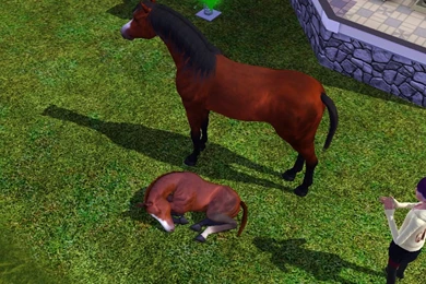 A Baby Horse Is Born By Sims 3 screenshots On DeviantArt