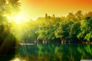 8589130580201 lush green forest river at sunrise high wallpaper hd ...