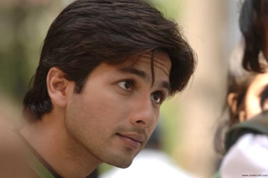 Shahid Kapoor Wallpapers