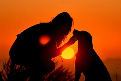 Download Wallpapers 1920x1080 Girl, Dog, Light, Shadow, Silhouette ...