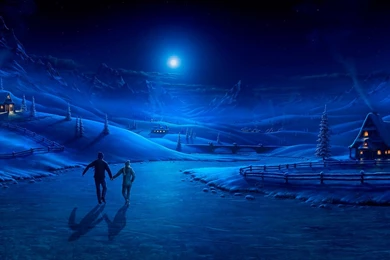 Winter Wallpapers   FWallpapers.com