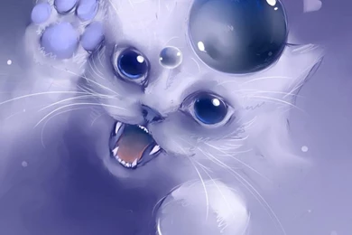 Apofiss Cat Wallpaper,Apofiss HD Wallpaper,cat HD Wallpapers ...