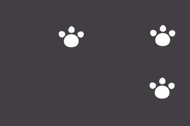 Anime Wallapaper Anime Trap Wallpapers Phone Screen Lockscreen ...