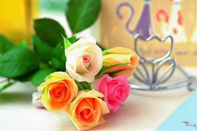 Full HD 1080p Rose Wallpapers