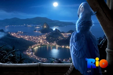 Wallpapers All Hd   Widescreen HD Wallpapers