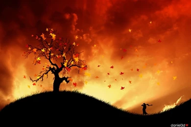 Download HD Autumn Wallpapers For Desktop Backgrounds Free