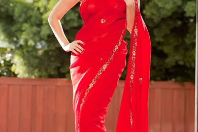 Sunny Leone's Red Dress Happy Valentine's Day 2013 (HD Walls ...