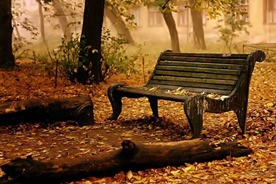 Old Bench, 1600x900 Pixels : Wallpapers Tagged Building Wallpapers ...