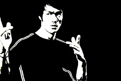 Bruce Lee Wallpapers Collection (43+)