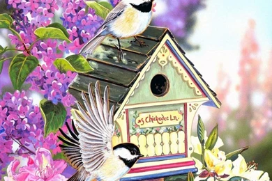 BIRDHOUSE WALLPAPER   (
