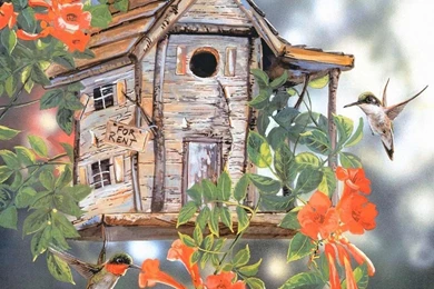 HUMMINGBIRD BIRDHOUSE WALLPAPER   (
