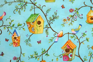 Tweet Street Bird House Stripe Border   $9.98 : Little Cherubs ...