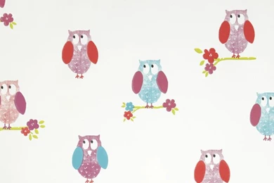 Iliv Birdhouse Wallpapers   Brights