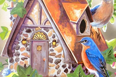 PRETTY BIRDS BIRDHOUSE PAINTING WALLPAPER   (