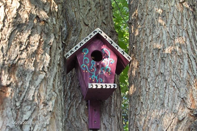 Download Bird House Wallpapers Tags In Tree House Paradise Outside ...