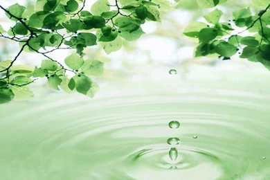 HD Wallpapers For Windows 8 Free Download