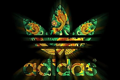 1000+ Ideas About Random Shit On Pinterest