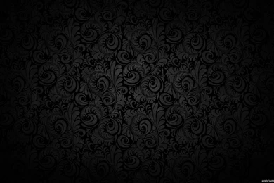 Chadington Von Lichtenstein Music, Lyrics, Songs, And Videos