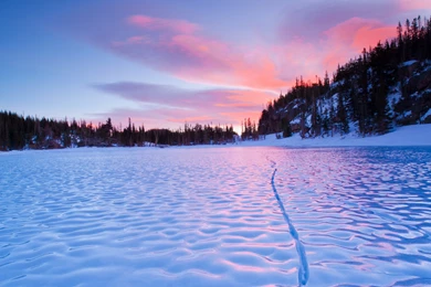 Free Winter Wallpapers HD